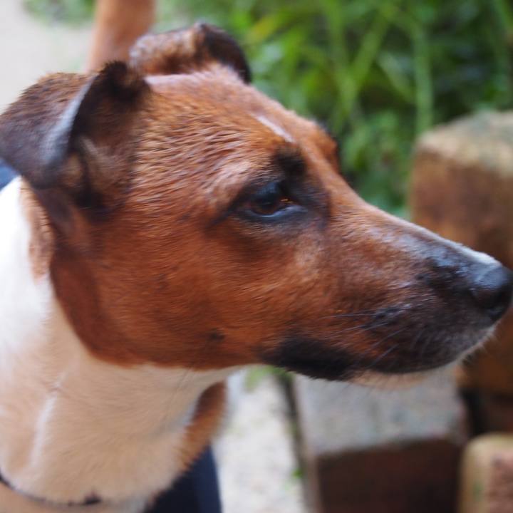 0512ea2c b991 47fb 9688 f0a46071fd6e