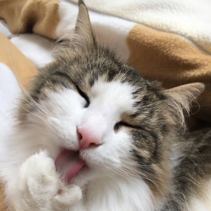 0512fab7 3f5b 4118 b34f 7d22b5f34a9f