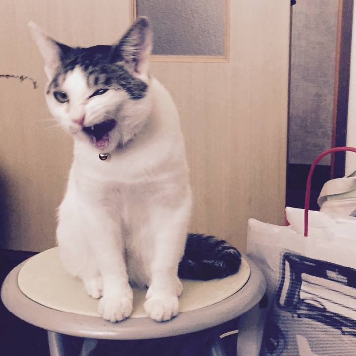 05130069 a47d 410e ab5c 788af97e9258