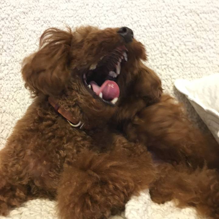 05132d75 a9d6 43bf b3cd 7e73ccc3cd9f