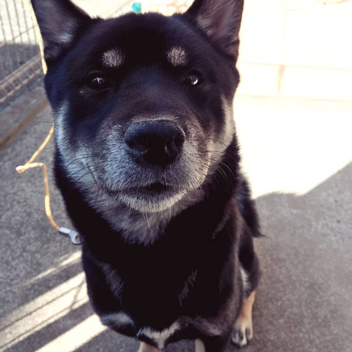 05135e16 4538 45eb 8b4f db1a6a23138b