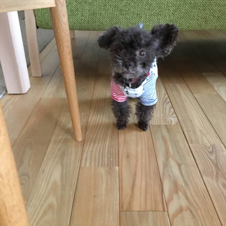 0513919e 7abc 4979 96f4 a622795d93b1