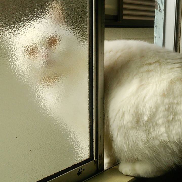 05146e37 86b9 4365 b309 98f0b07bea96