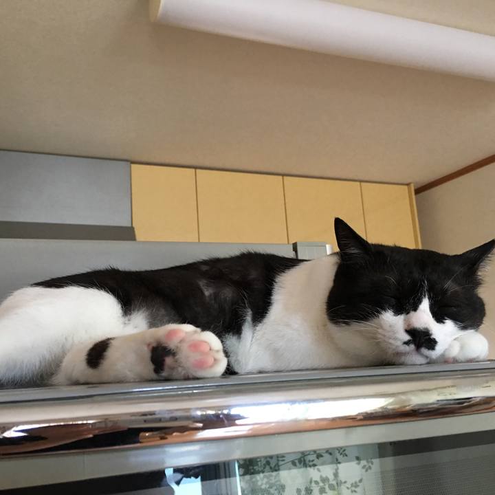 05149ca4 4882 4af3 81c7 5b9985e7f423