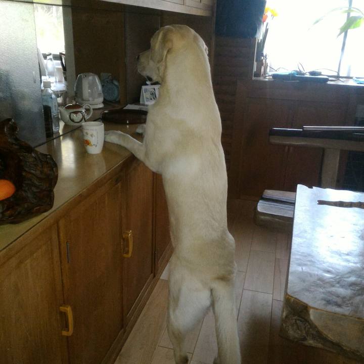 05153331 9150 480c 8cb5 64da4cfe91d1