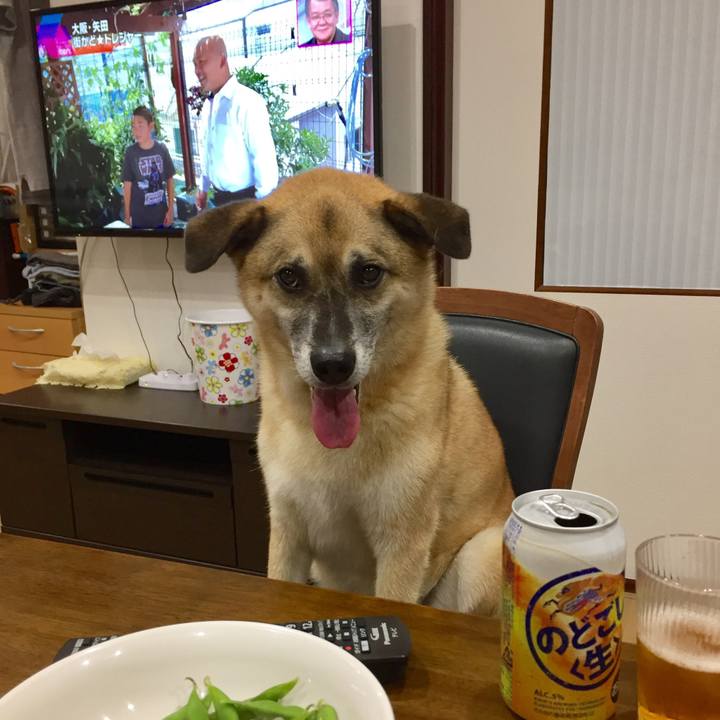 0515427a ced8 4f5a 8492 f7538abf7b16