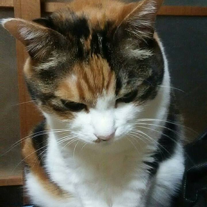 0515476e 8420 4a38 a75c 46e5ed34567a