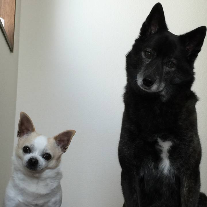 05157151 e467 4bd5 b6cf 28710f43fe94