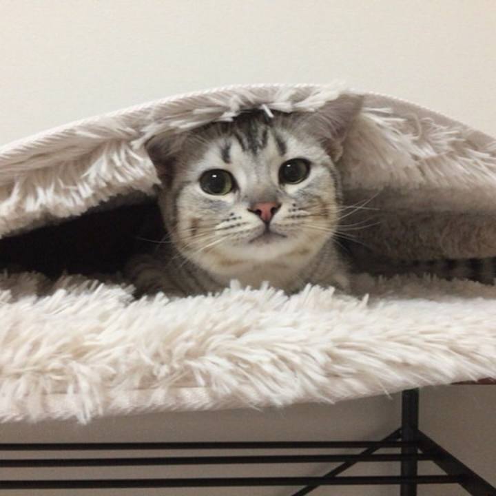 051588bc 0e65 4996 866c d03ce01069b2