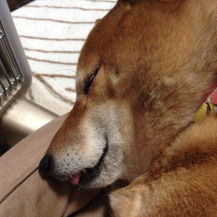 05163a6e e71b 40b3 abab 7c98b62fb84d