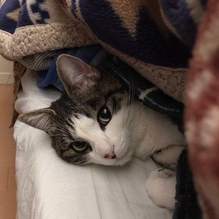 051669a9 d77d 45d8 8384 611eb808809c