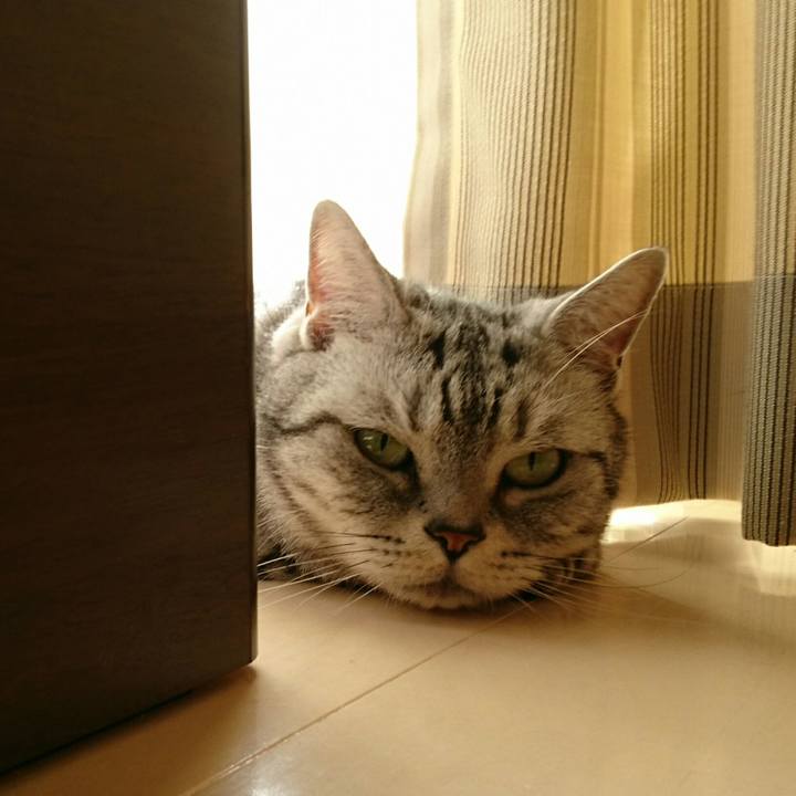 05168df1 5abe 4b57 961b faa84a6941bf