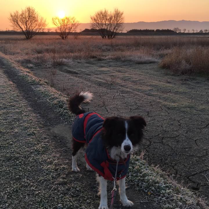 05169d19 c74a 45d5 910d 38f193fcd353