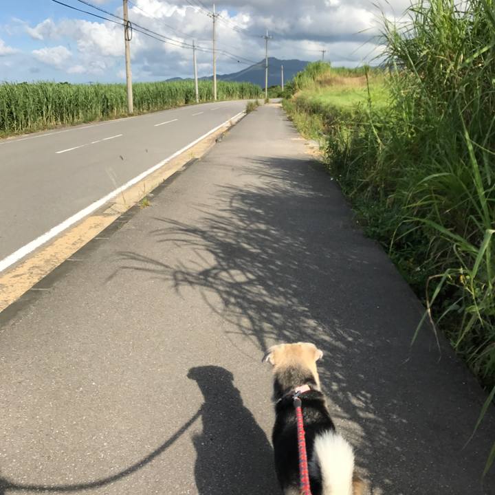 0516af10 c339 459a a2c9 725d862df1dc