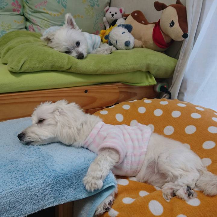 051731ea c1b4 4f80 b6b1 ee9f5946e495