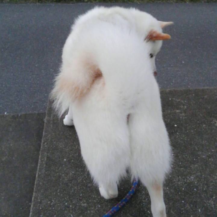 05174a06 02f3 4658 a2c7 fa883d0b317f