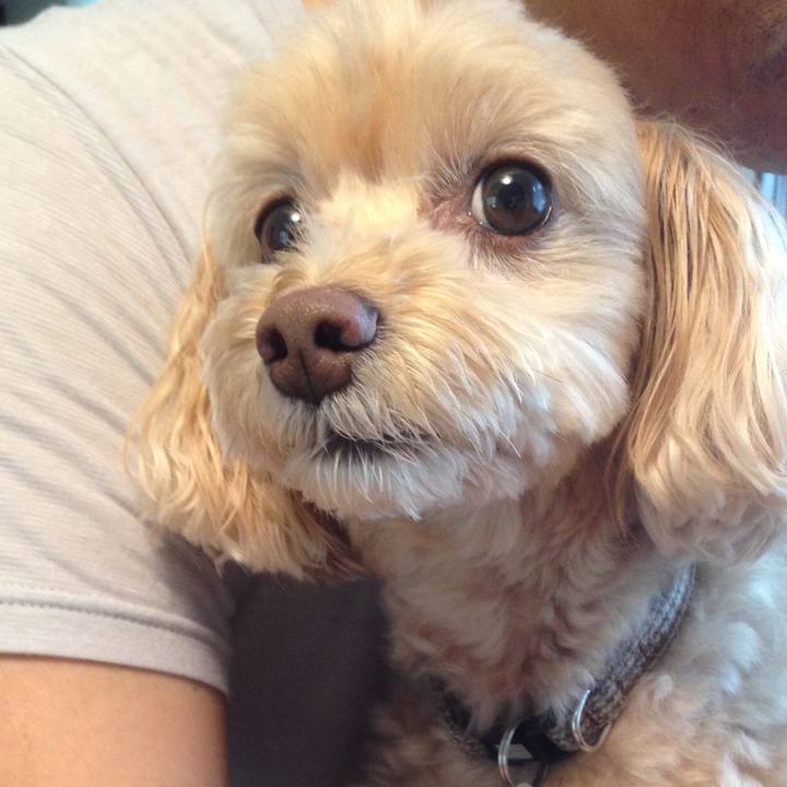 0517fdc7 31c6 40b9 84ef 80bfd587cc3b