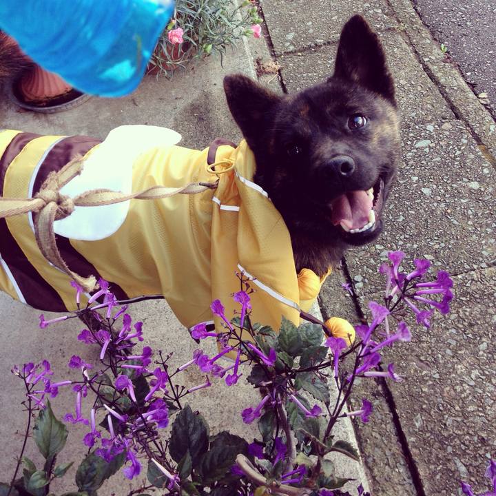 05180188 0440 4d96 b028 56a1d3341812