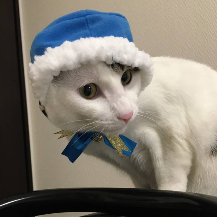 05183d40 b9b6 4893 802b 03818d2b2da8