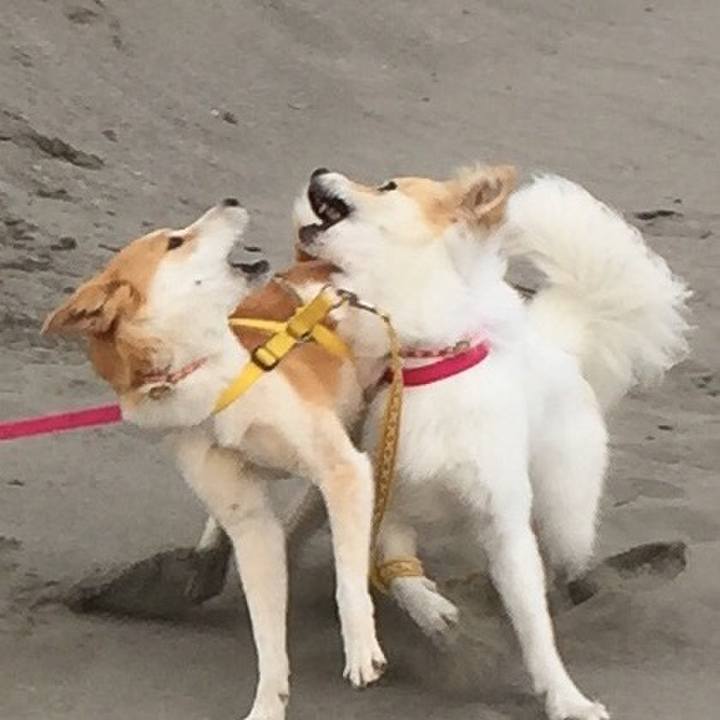 0518d40a d759 4f1b acca 55d2162902a6