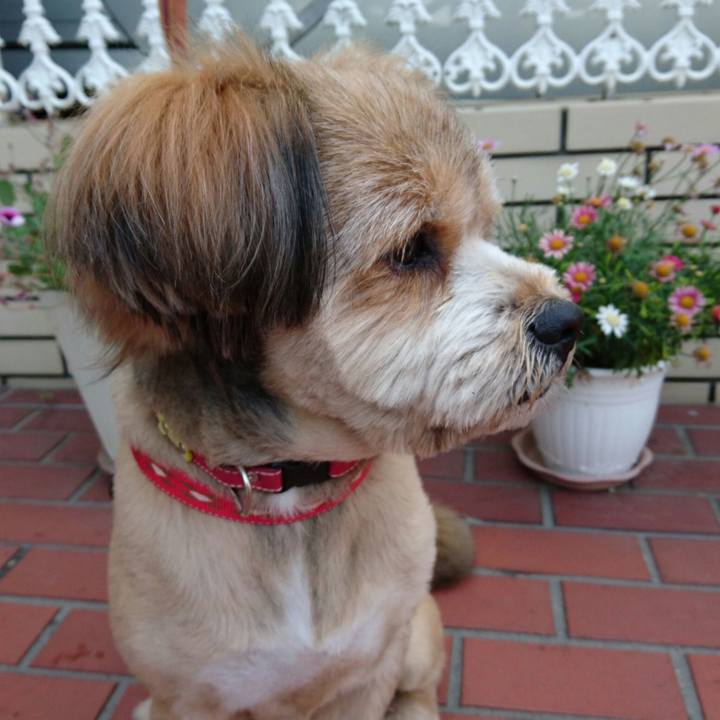 05194783 c465 4f75 9f0e c1384f365eb4