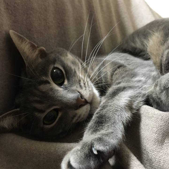 0519b750 4b3c 4911 aa7b bc1a07628153