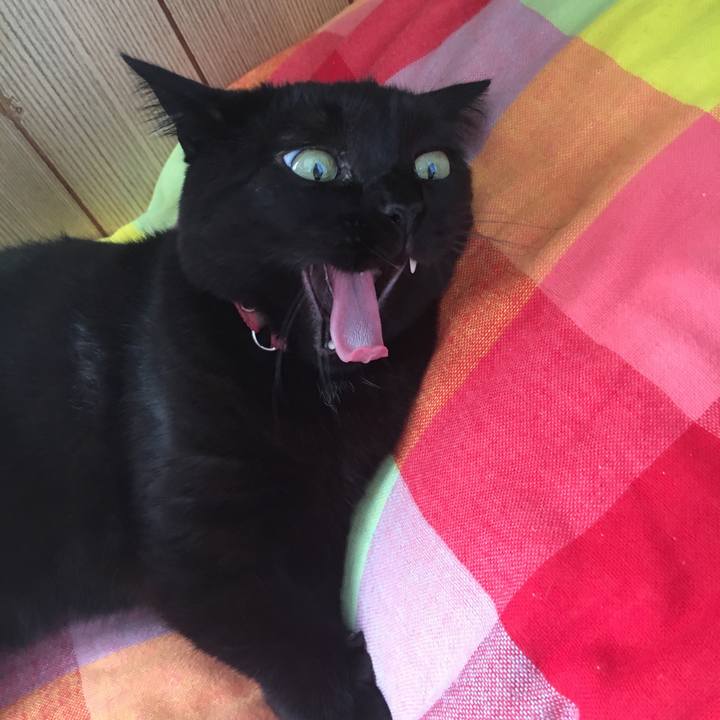 0519bac3 df8a 4c95 9422 4c4ea84f16c5