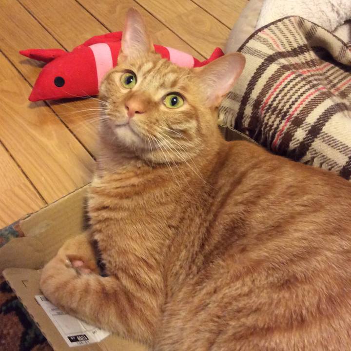 051a6ced 753a 4627 9606 376300010672