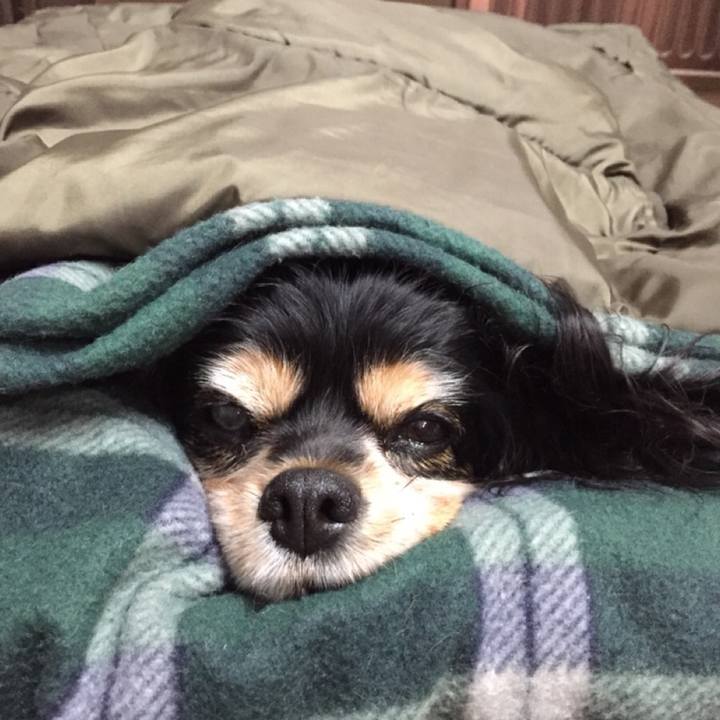 051ac6b3 fd25 475f a85a 50672a437779