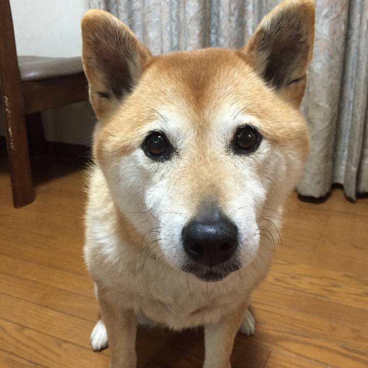 051af554 1c3b 4ffa 86f6 31b133387233