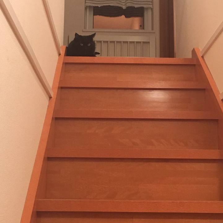 051b27c6 2a01 4c77 890a 85a4c47ed1ac