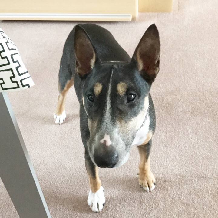 051b2f80 614b 48e2 9526 687053955671