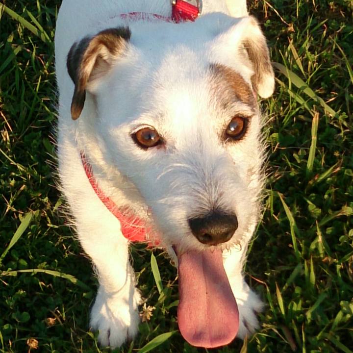 051b5266 530d 44e3 8da0 c148d8d2a2e5