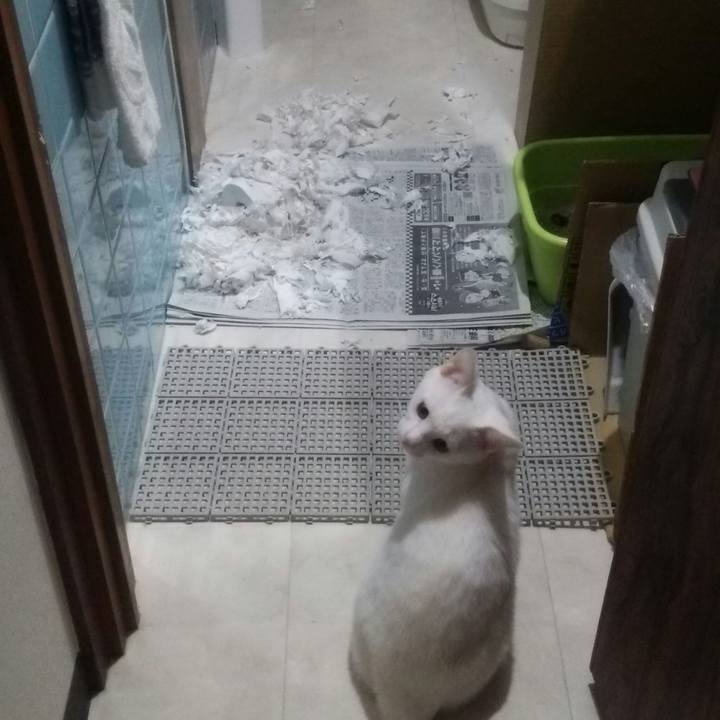 051b8dde 77d9 4660 b8e2 772f0e492a41