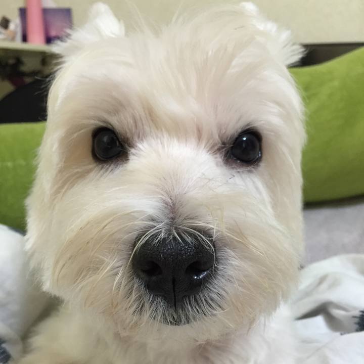 051c8de7 f793 47f6 9ebe e0b2227bad1e