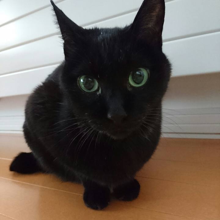 051ca12b 2222 45e4 b27b 731c79d07742