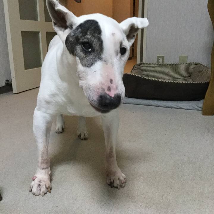 051d2cf6 4b77 4fc9 a246 1dafb15d7055