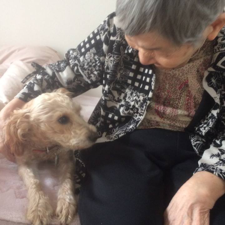 051dfb3a ad42 444a b7bf 2ad4401963d4