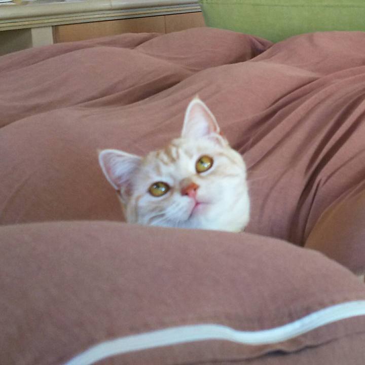 051e153a 9b50 4b04 967b b4c2071cb4c6