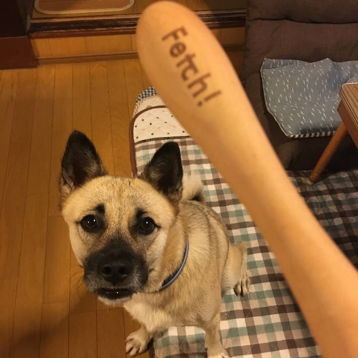 05208226 0ad7 456d a30b 2e1e69cbb1b2