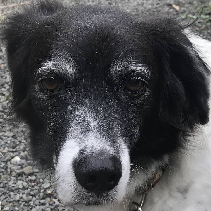 05212052 2823 49b4 bfac 2bb2a5cd6338