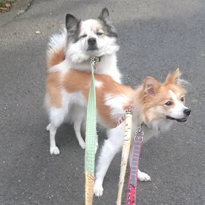 0521211e 68ee 4708 8c24 487b6a72b476