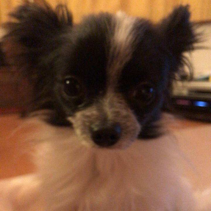 05215c57 2fb3 4aaf b5ec 9e99f42c1721