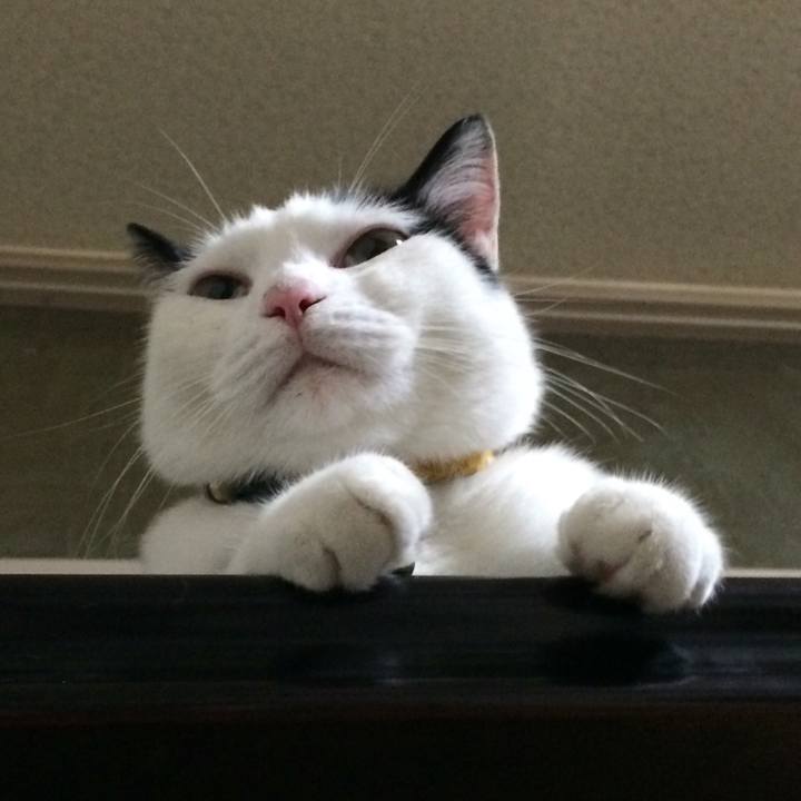 05226efa dda7 4822 9cd1 372364508f8d