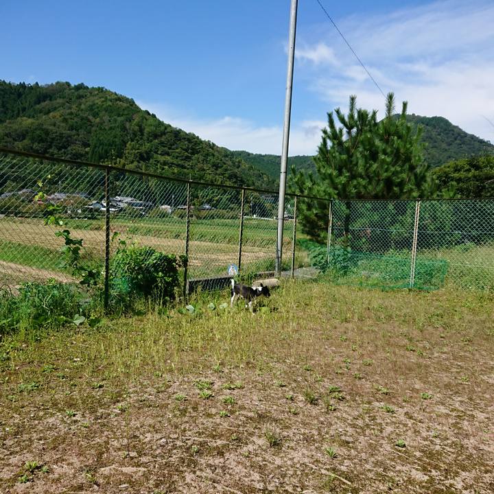 05229592 2593 4b18 b0ba a723dc375e63