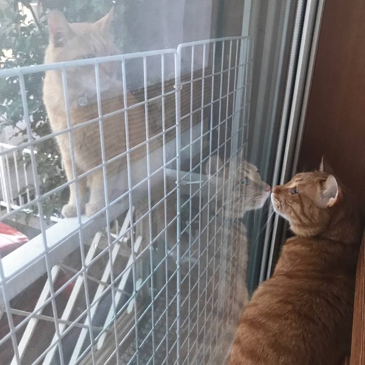 0522cfa7 8d45 45de a0f7 18fc64a1cd37