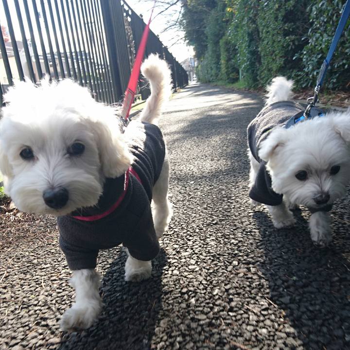 0522e71e 0335 4eb2 8fa7 55713bffb34d