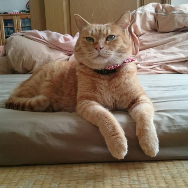 05231bbf 03d5 4f55 83e1 c2e7ad09b360