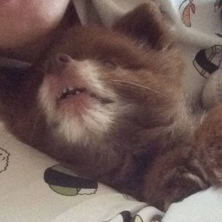 0523e834 23e7 428e ae40 3b556d874812