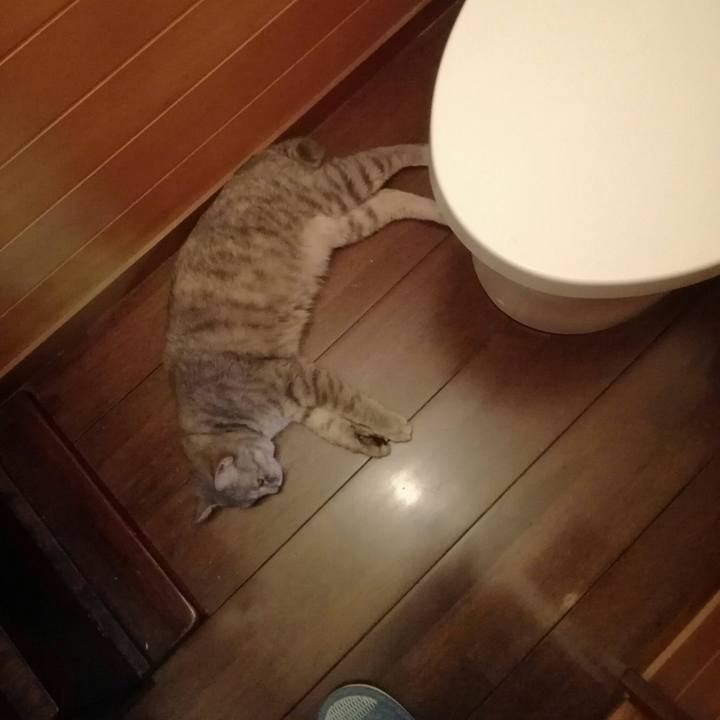 0524267d 7577 4b8b bd95 6f235879449b